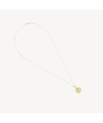 Of The Stars Aquarius Small Coin Necklace online