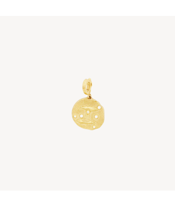 Charm Pisces Small Coin vente chaude votre 