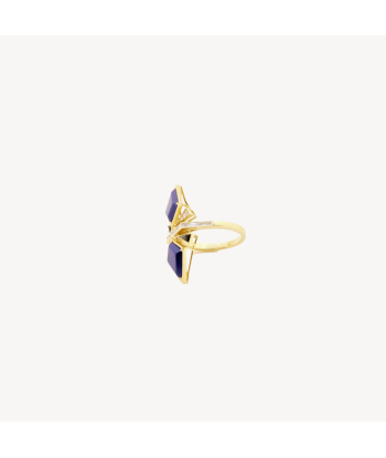 Bague Nina Bling Statement ouvre sa boutique