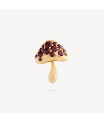 Stud Mushroom Rubis Amélioration de cerveau avec