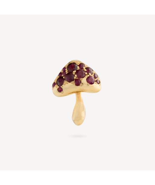 Stud Mushroom Rubis Amélioration de cerveau avec