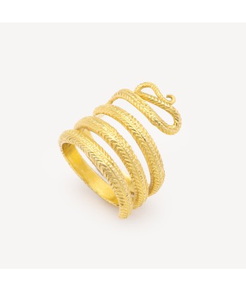 Bague Snake Tail Or Jaune commande en ligne