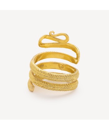 Bague Snake Tail Or Jaune commande en ligne