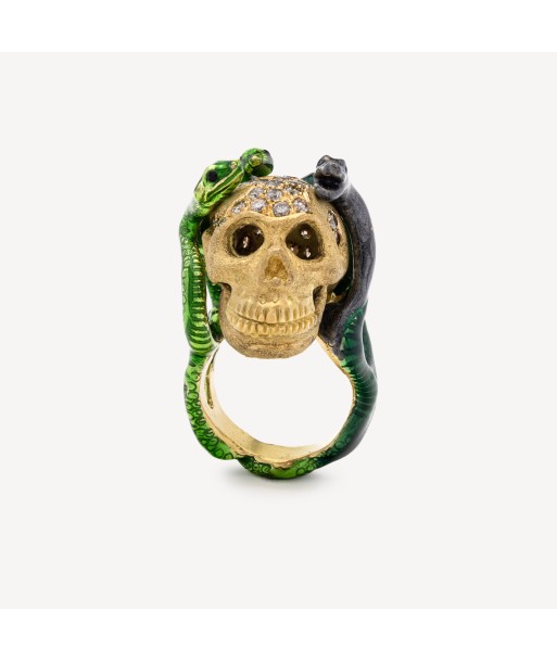 Bague Tête De Mort et Serpents de l' environnement