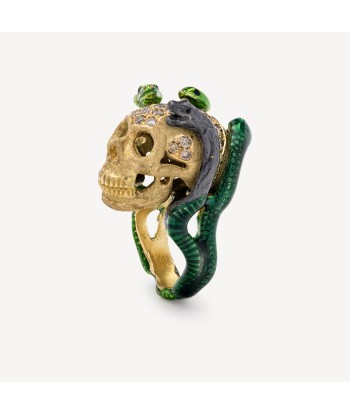 Bague Tête De Mort et Serpents de l' environnement