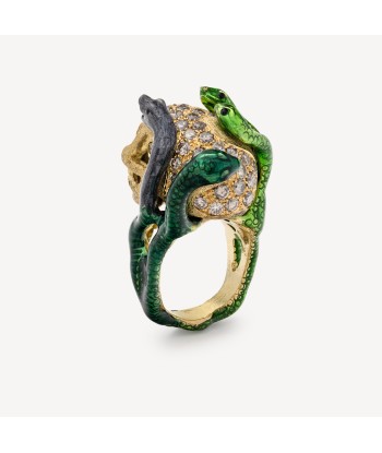 Bague Tête De Mort et Serpents de l' environnement