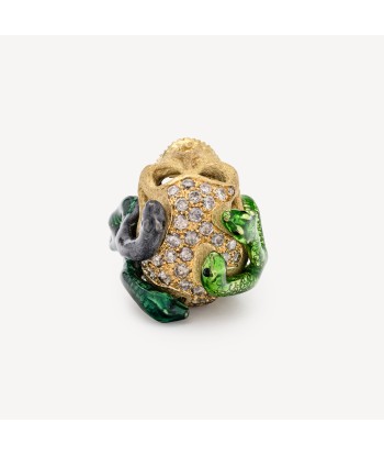 Bague Tête De Mort et Serpents de l' environnement