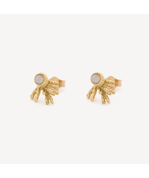 Boucles d'Oreilles Studs Opale Amélioration de cerveau avec