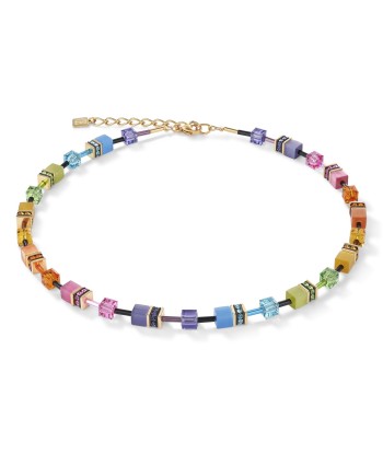 Collection 2838 - Multicolore Arc en Ciel Doré - Collier - Cœur de Lion votre