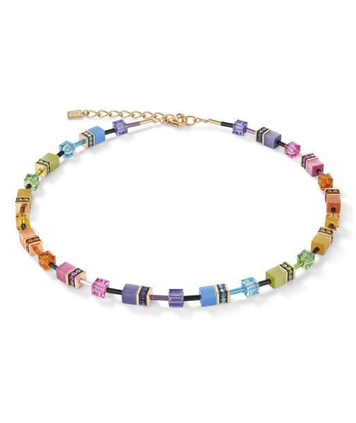 Collection 2838 - Multicolore Arc en Ciel Doré - Collier - Cœur de Lion votre