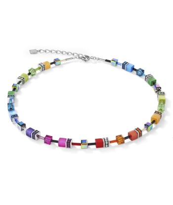 Collection 2838 - Multicolore Arc en Ciel Argenté - Collier - Cœur de Lion les muscles