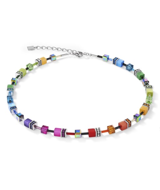 Collection 2838 - Multicolore Arc en Ciel Argenté - Collier - Cœur de Lion les muscles